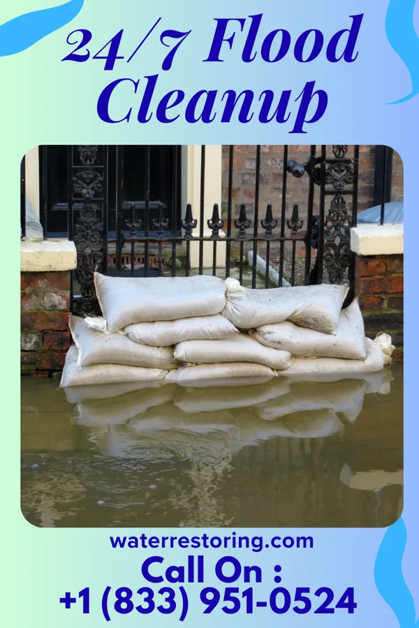 24/7 Flood Cleanup in Fisk, MO