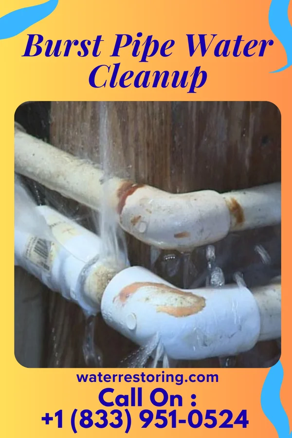Burst Pipe Water Cleanup in Fisk, MO