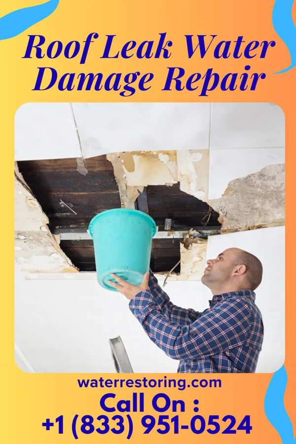 Roof Leak Water Damage Repair in Fisk, MO
