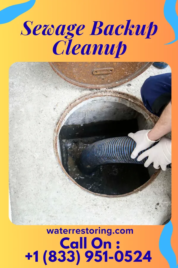 Sewage Backup Cleanup in Fisk, MO